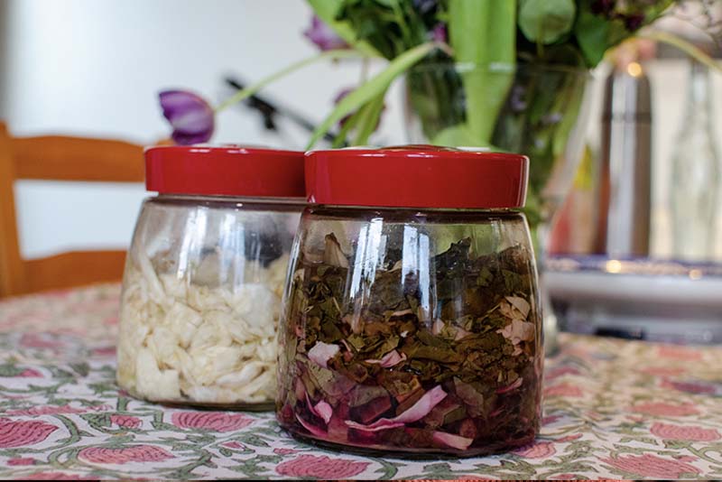 Fermented Vegetables for Dogs Recipe