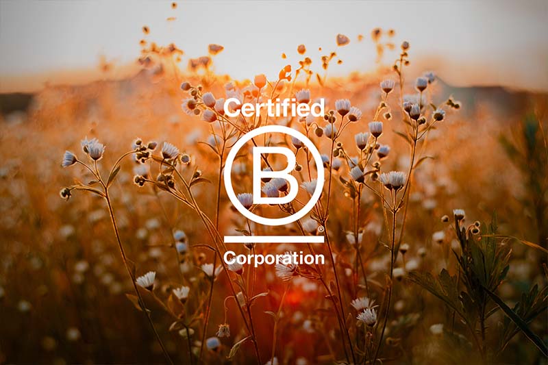We are now a Certified B Corp