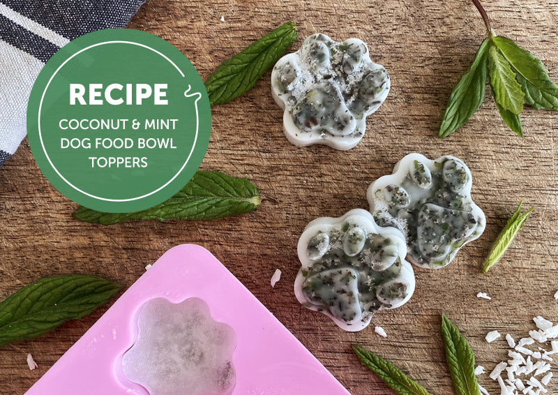 Recipe: Coconut and mint dog bowl toppers