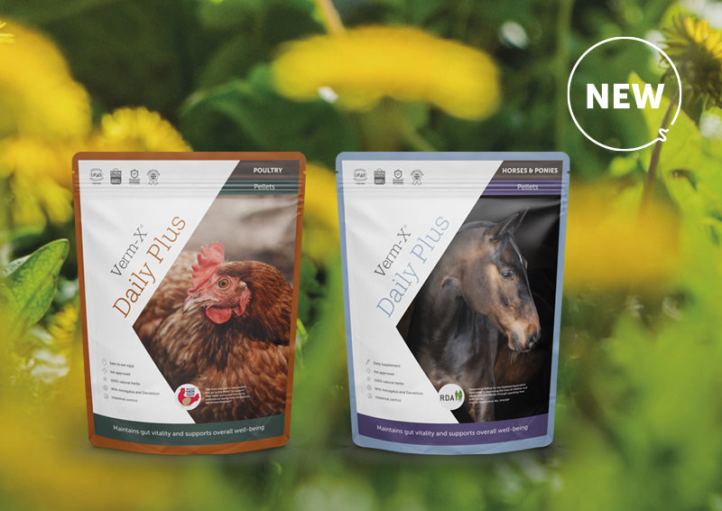 NEW Daily Herbs for Hens and Horses