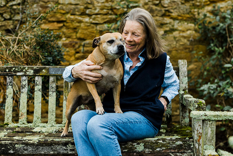 Caring for older dogs | how to look after a senior dog – Verm-X