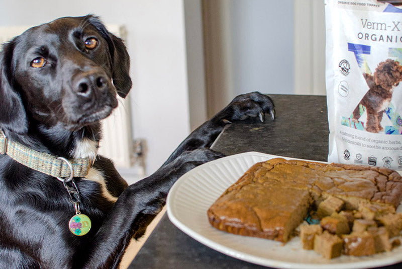 Recipe: Liver Cake for Dogs