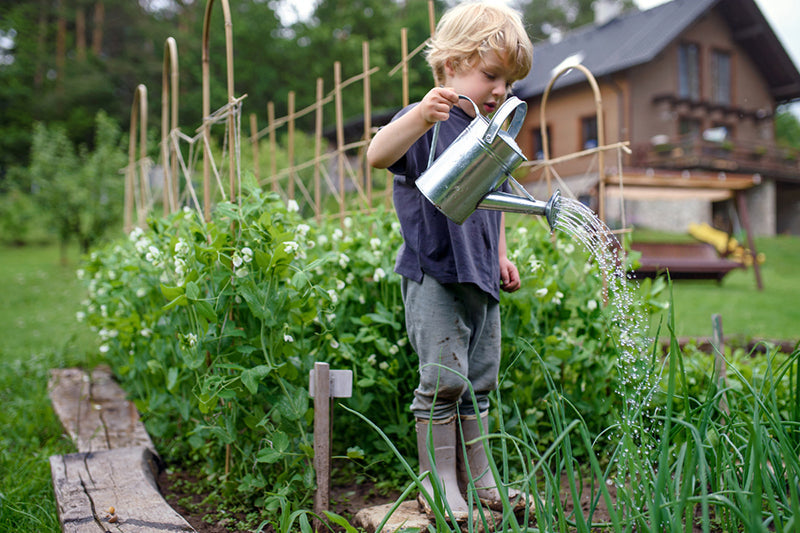 Q&A with Marian Boswall, author of Sustainable Garden