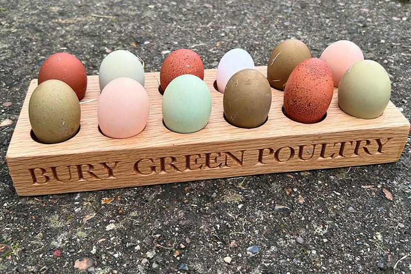 What hens lay coloured eggs?