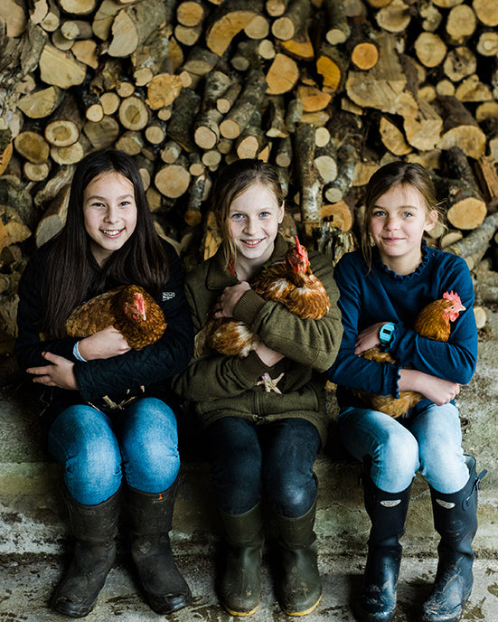 The Gut Doctor: Backyard Poultry