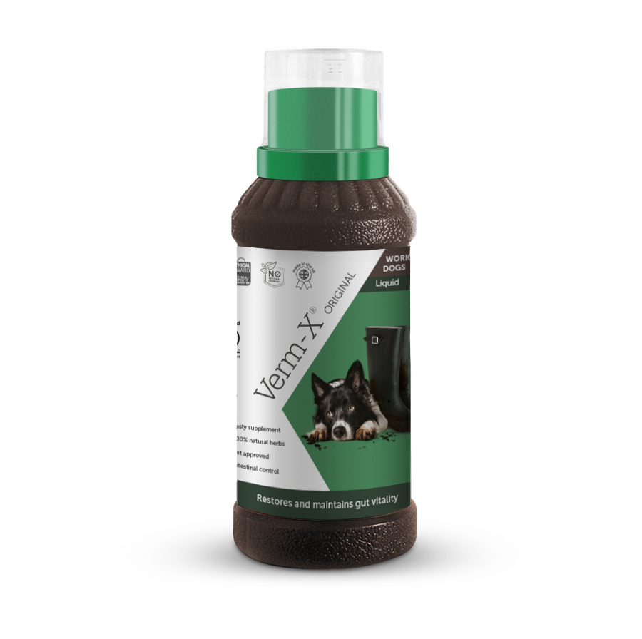 Verm-X Original Liquid for Dogs