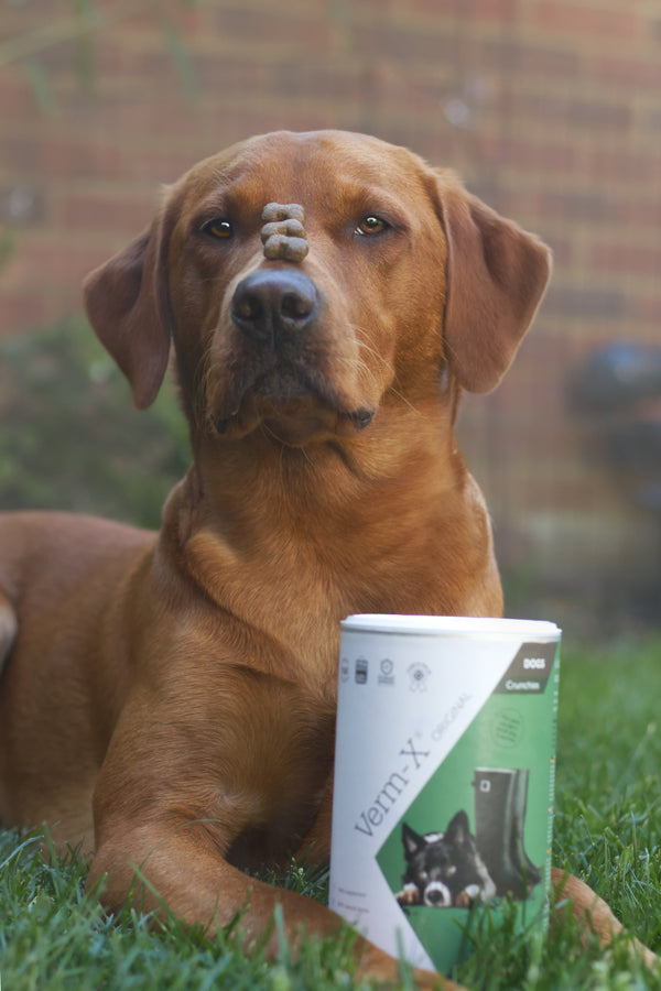 Huxley