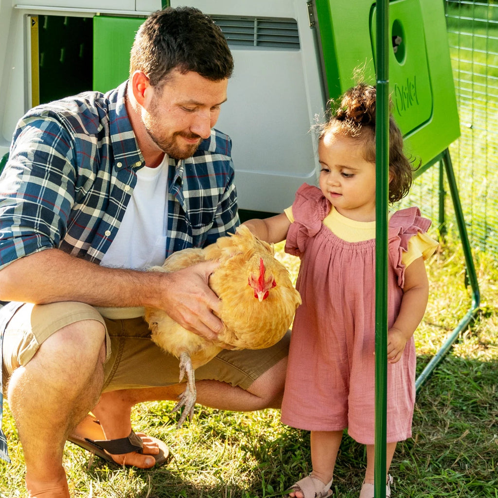 Poultry Prom Summer Poultry Giveaway – Verm-X